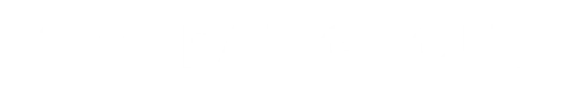 SM Pal Group